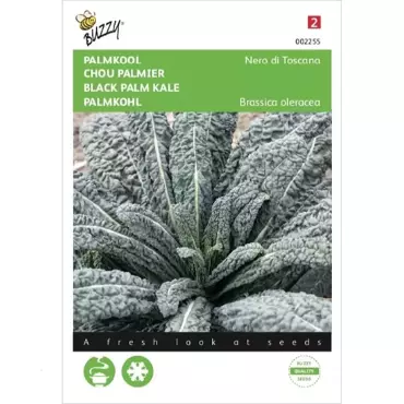 Palmkool Nero di Toscana - afbeelding 2