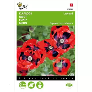 Papaver, Klaproos Lady Bird - afbeelding 1