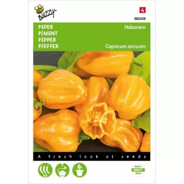 Peper Habanero oranje - afbeelding 1