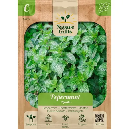 Pepermunt piperita 200st - afbeelding 1