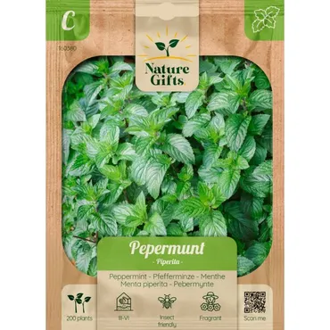 Pepermunt piperita 200st - afbeelding 1