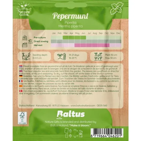 Pepermunt piperita 200st - afbeelding 2