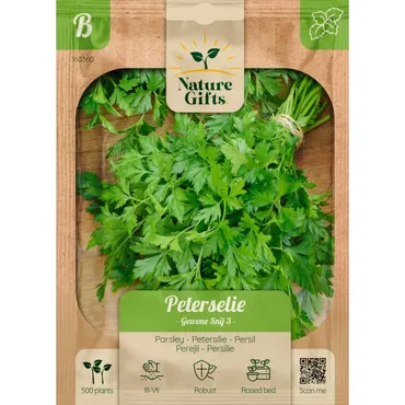 Peterselie gewone snij 3 500st - afbeelding 1