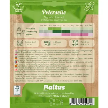 Peterselie gigante di napoli - afbeelding 2