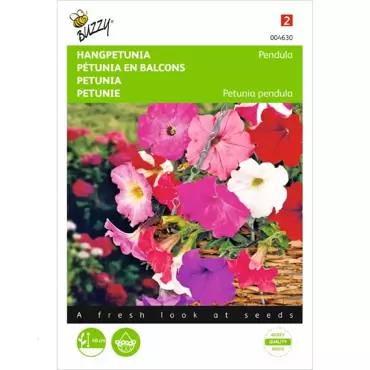 Petunia, hangend gemengd - afbeelding 2