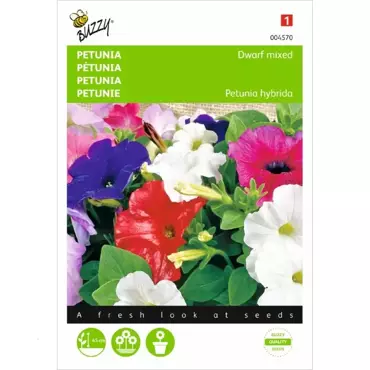 Petunia laag gemengd - afbeelding 1