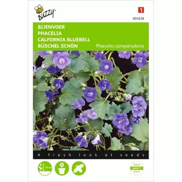 Phacelia, Bijenvoer - afbeelding 2