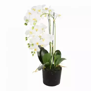 Kunstplant Phalaenopsis 5-tak 68cm wit