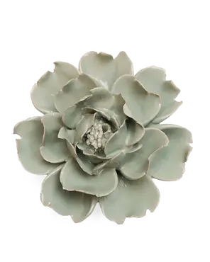 Pistachio Green Rose
