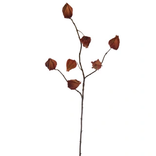 Pluimstaarttak l70cm beige