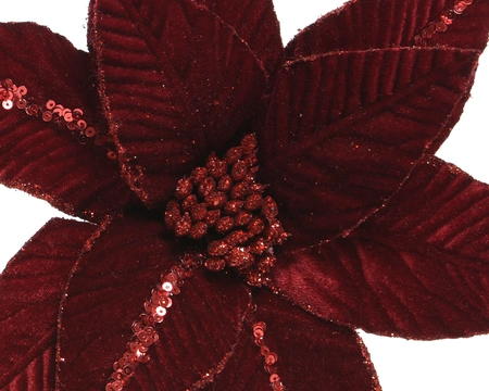 Poinsettia Fluweel 32x5cm - afbeelding 3