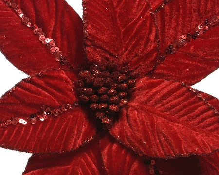Poinsettia Fluweel 32x5cm - afbeelding 5