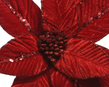 Poinsettia Fluweel 32x5cm - afbeelding 5