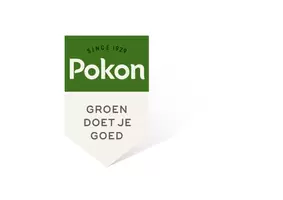 Pokon