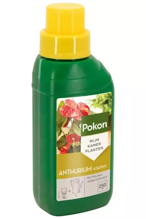 Pokon anthurium voeding 250ml - afbeelding 2