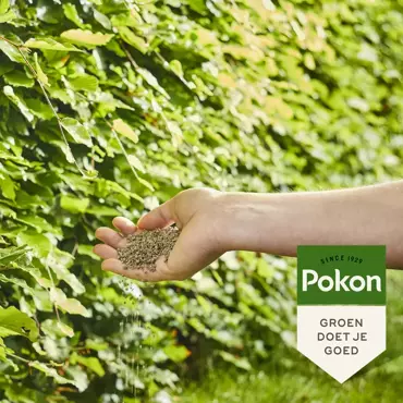 Pokon Beuken en hagenmest 2,5kg - afbeelding 4