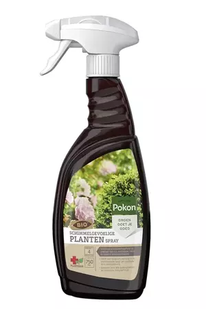 Pokon Bio plantenkuur voor Schimmelgevoelige planten spray 750ml - afbeelding 1