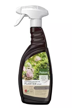 Pokon Bio plantenkuur voor Schimmelgevoelige planten spray 750ml - afbeelding 1