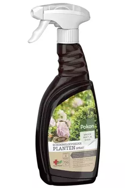 Pokon Bio plantenkuur voor Schimmelgevoelige planten spray 750ml - afbeelding 2
