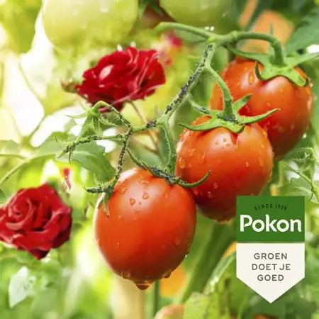 Pokon Bio tegen insecten concentraat -  200ml - afbeelding 4