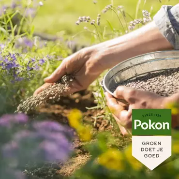 Pokon Bio tuinmest 10kg - afbeelding 4