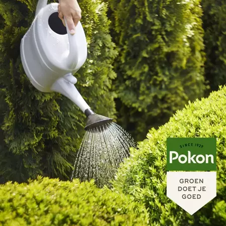 Pokon Bitterzout groenmaker 500g - afbeelding 4