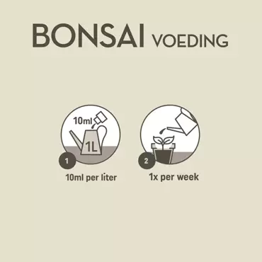 Pokon bonsai voeding 250ml - afbeelding 5