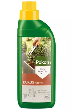 Pokon Buxus voeding 500ml - afbeelding 1