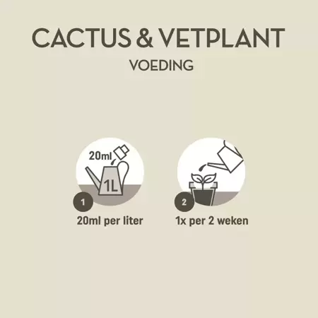 Pokon cactus en vetplant voeding 250ml - afbeelding 5