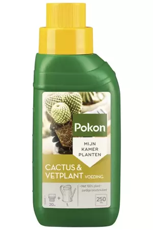 Pokon cactus en vetplant voeding 250ml - afbeelding 1