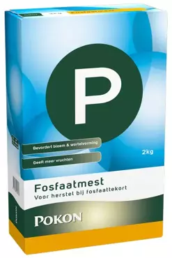 Pokon Fosfaatmest 2kg - afbeelding 2