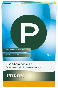 Pokon Fosfaatmest 2kg - afbeelding 1