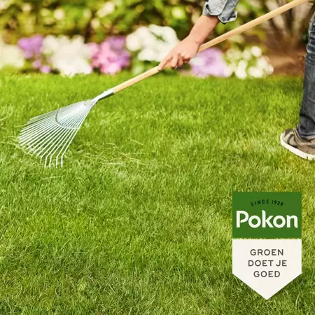 Pokon Gazonmest + kalk 3-in1 / 15m2 - afbeelding 4