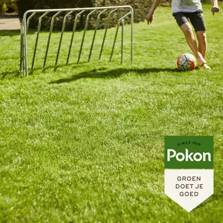 Pokon Graszaad inzaai 1kg - afbeelding 4