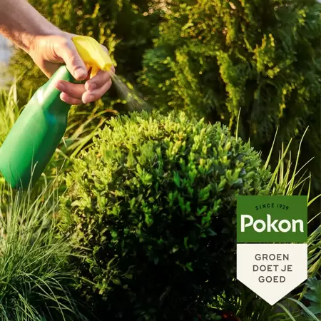 Pokon Groenhersteller 500ml - afbeelding 4