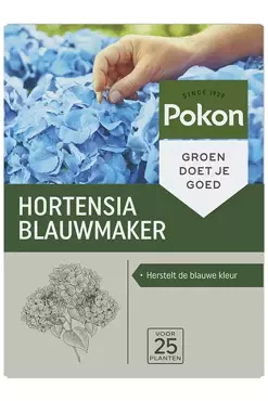 Pokon Hortensia blauwmaker 500g - afbeelding 1