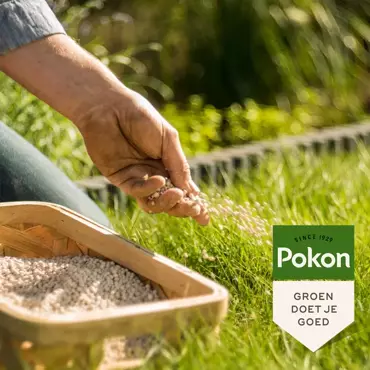 Pokon Kalk 10kg - afbeelding 4