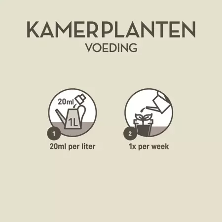 Pokon kamerplantenvoeding 500ml - afbeelding 5