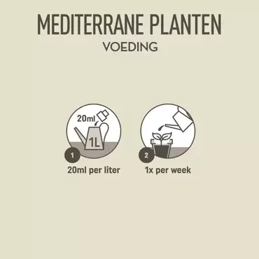 Pokon Mediterrane planten voeding 500ml - afbeelding 5