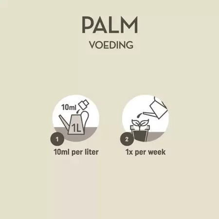 Pokon palm voeding 250ml - afbeelding 5