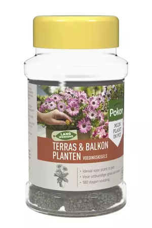 Pokon Portie potplant voedingstablet 40st - afbeelding 2