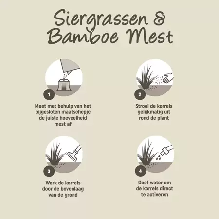 Pokon Siergrassen & bamboemest 1kg - afbeelding 5