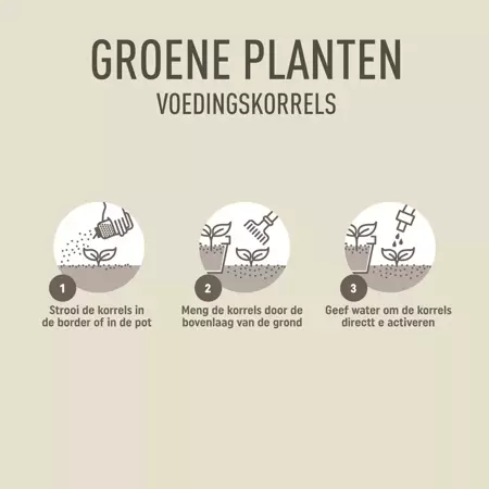 Pokon strooibus groene plant 800g - afbeelding 5