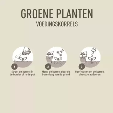 Pokon strooibus groene plant 800g - afbeelding 5
