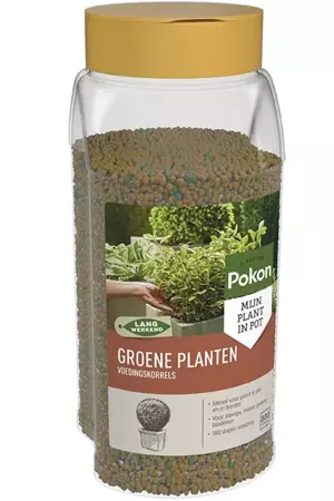 Pokon strooibus groene plant 800g - afbeelding 2