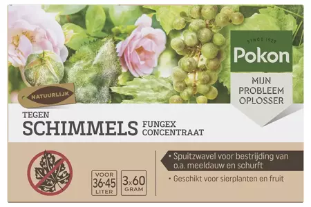 Pokon tegen Schimmels fungex concentraat - afbeelding 1