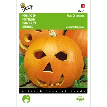 Pompoen Jack O'Lantern - afbeelding 1