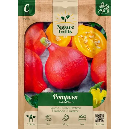 Pompoen uchiki kuri 5st - afbeelding 1