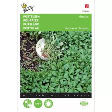 Postelein Groene - afbeelding 2