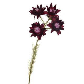 Prinsesbloemsteel kln l64cm dk.rood